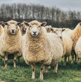 Farm & Country claims